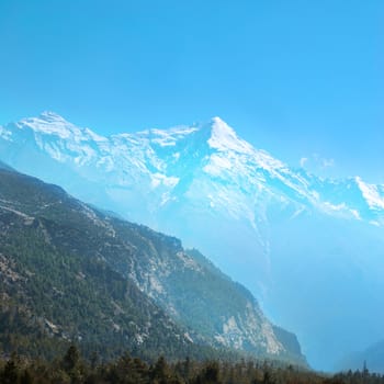 Tibetan road with firs in Himalayan mountain and blue sky.