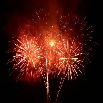 Colorful fireworks on the black sky background