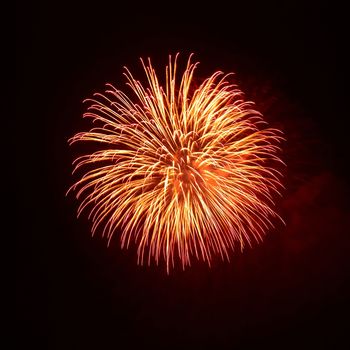 Beautiful fireworks on the black sky background