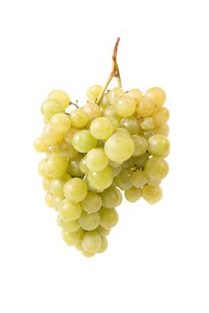 Bunch of grapes isolated on white background