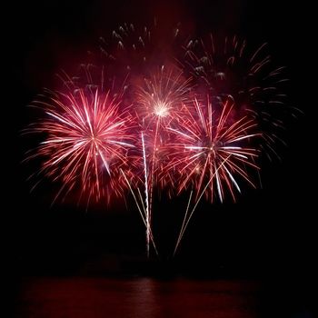 Colorful fireworks on the black sky background