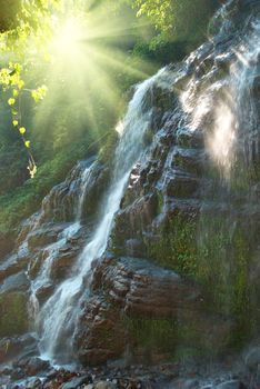 Waterfall in the forest surrounded by green trees