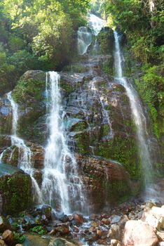 Waterfall in the forest surrounded by green trees