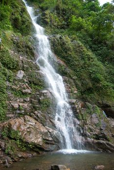 Waterfall in the forest surrounded by green trees