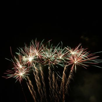 Colorful fireworks on the black sky background