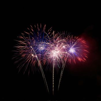 Colorful fireworks on the black sky background