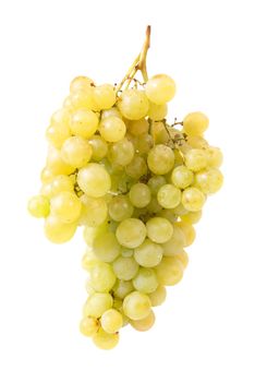 Bunch of grapes isolated on white background