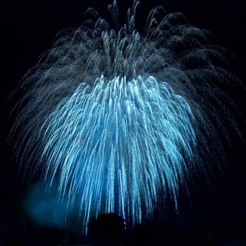 Colorful fireworks on the black sky background