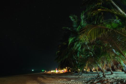 View of nice tropical  beach  with some palms around at night time