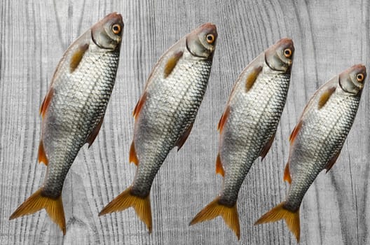 Some raw fish lying on a wooden background.