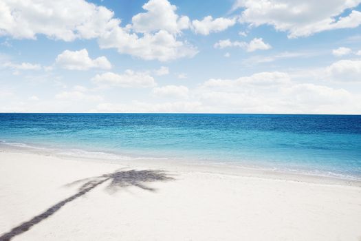 View of nice tropical  beach  with some palm's shadow