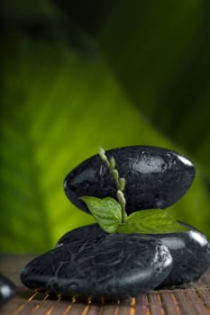 close up view of  gray stones  and leaf  on color back