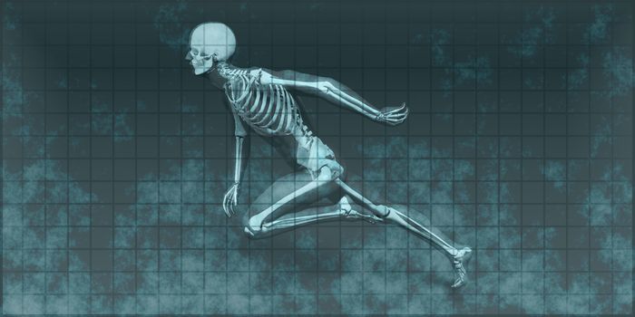 Radiography Scan with Bones as a Science Concept