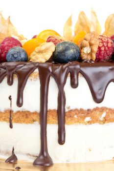 Naked cake with fruits and chocolate close up