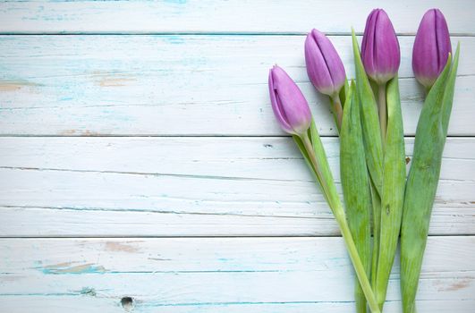 Tulips on a wooden background with space