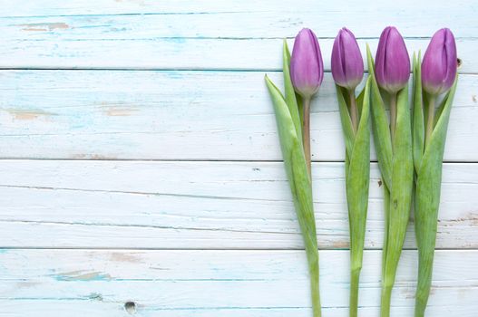 Spring tulips on wooden background with space