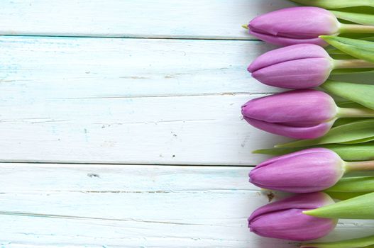 Tulips on a wooden background with space