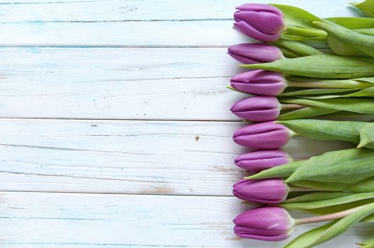 Lilac tulips on a wooden background