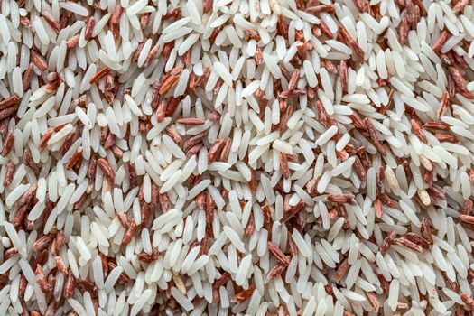 Brown Rice, destroyed by Red flour beetle, science names "Tribolium castaneum" or weevil are on brown rice, closeup