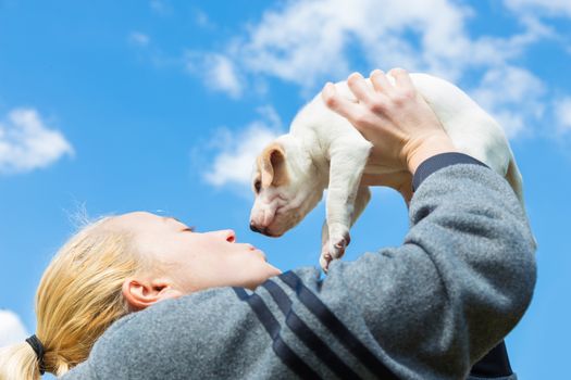 Mixed-breed adorable cute little puppy petting by female owner, outdoors on sunny spring day.