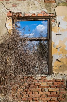 Frame of a former window in a very damaged wall with bricks visible. Tree and blue sky with clouds in the window.