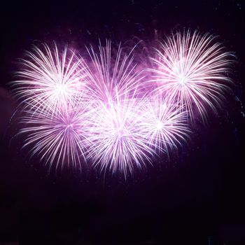 Colorful fireworks on the black sky background