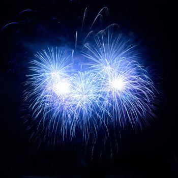 Colorful fireworks on the black sky background