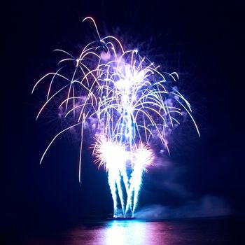 Colorful fireworks on the black sky background