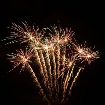 Colorful fireworks on the black sky background