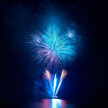 Colorful fireworks on the black sky background