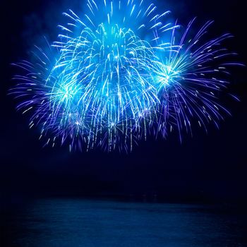 Colorful fireworks on the black sky background