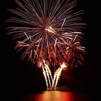 Colorful fireworks on the black sky background