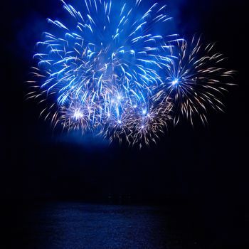 Colorful fireworks on the black sky background