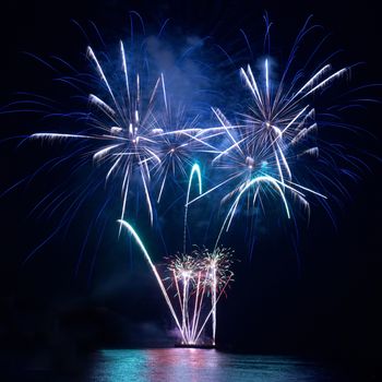 Colorful fireworks on the black sky background