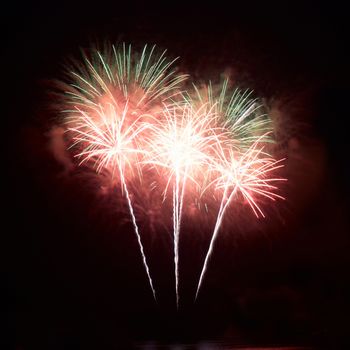 Colorful fireworks on the black sky background