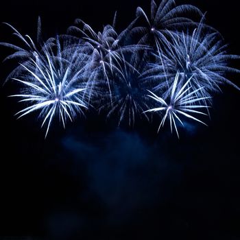 Colorful fireworks on the black sky background