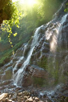 Waterfall in the forest surrounded by green trees