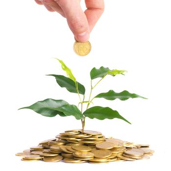 Hand and green plant growing from the coins. Money financial concept.