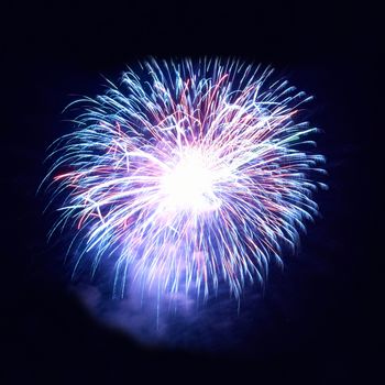 Colorful fireworks on the black sky background