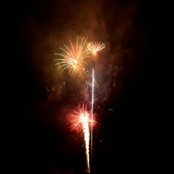 Colorful fireworks on the black sky background