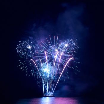 Colorful fireworks on the black sky background