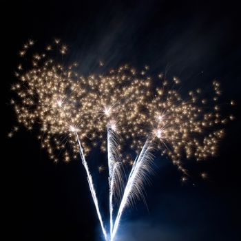 Colorful fireworks on the black sky background