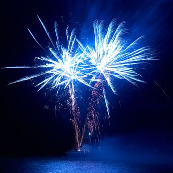 Colorful fireworks on the black sky background