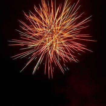 Colorful fireworks on the black sky background