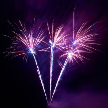 Colorful fireworks on the black sky background