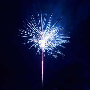 Colorful fireworks on the black sky background