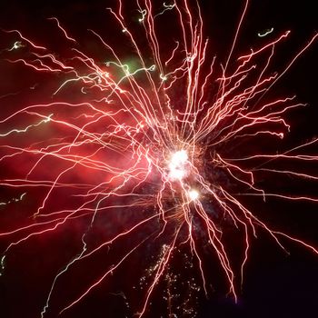 Colorful fireworks on the black sky background