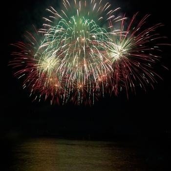 Colorful fireworks on the black sky background