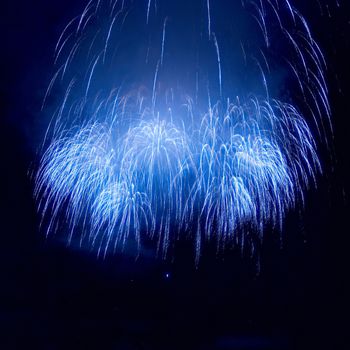 Colorful fireworks on the black sky background