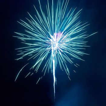 Colorful fireworks on the black sky background